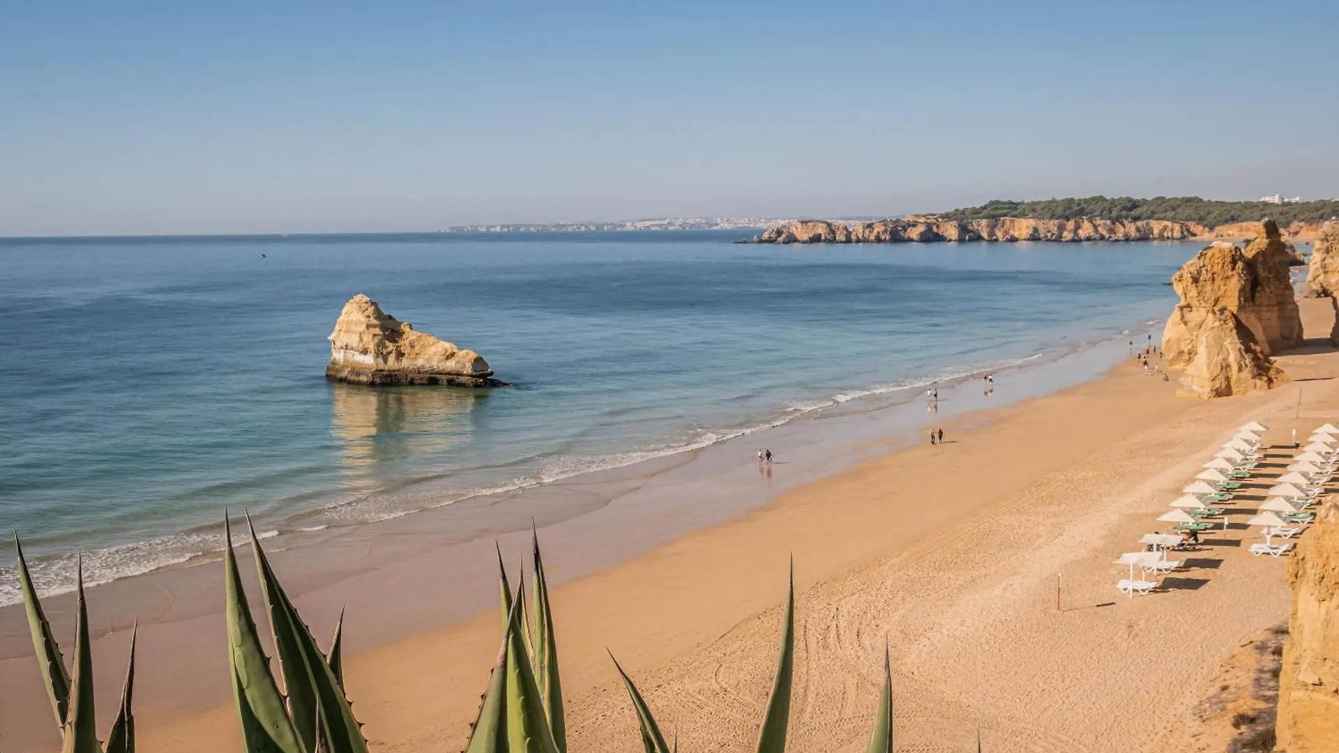 Apartment Varandas Do Sol Vista Mar 100 M Do Areal Portimao